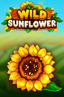 Wild Sunflower